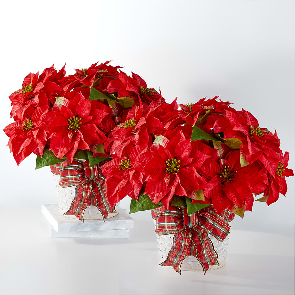Happiest Holidays Poinsettia Bundle – For Get Me Not Florist, Williamston NC