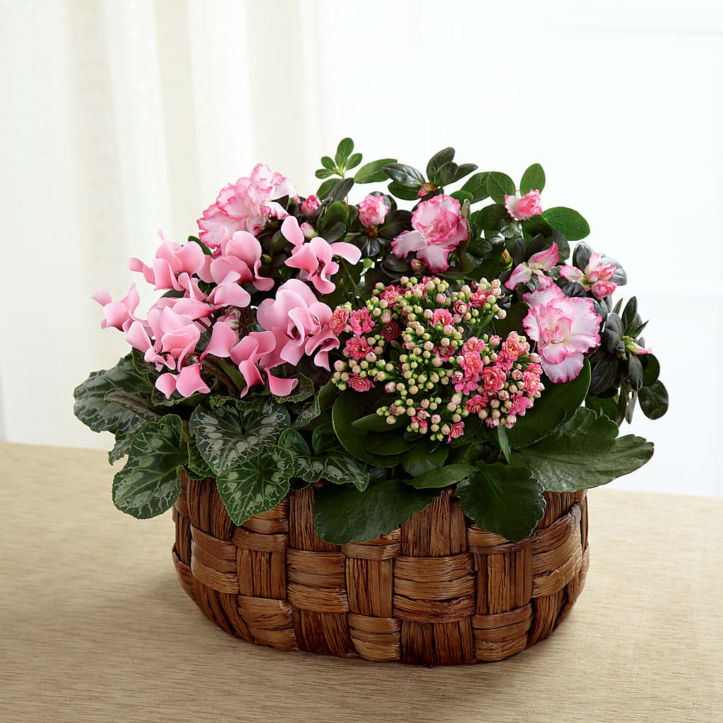Pink Assortment – For Get Me Not Florist, Williamston NC