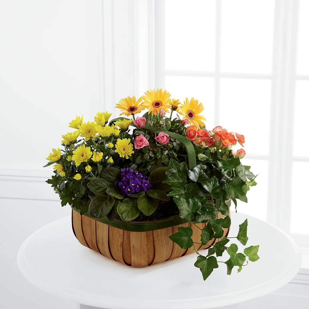 Gentle Blossoms Basket – For Get Me Not Florist, Williamston NC