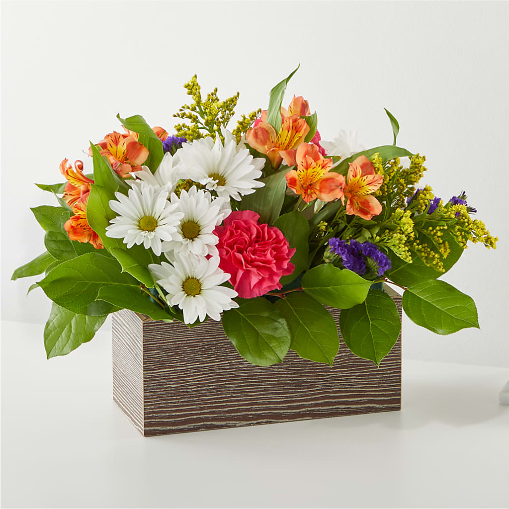 Oopsie Daisy Box Bouquet – For Get Me Not Florist, Williamston NC
