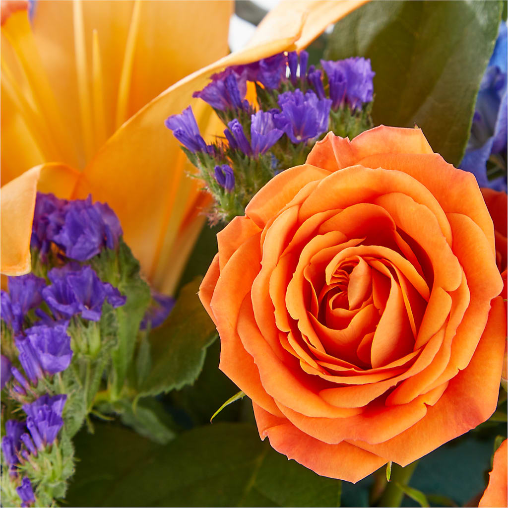 Radiant Citrus Box Bouquet – For Get Me Not Florist, Williamston NC