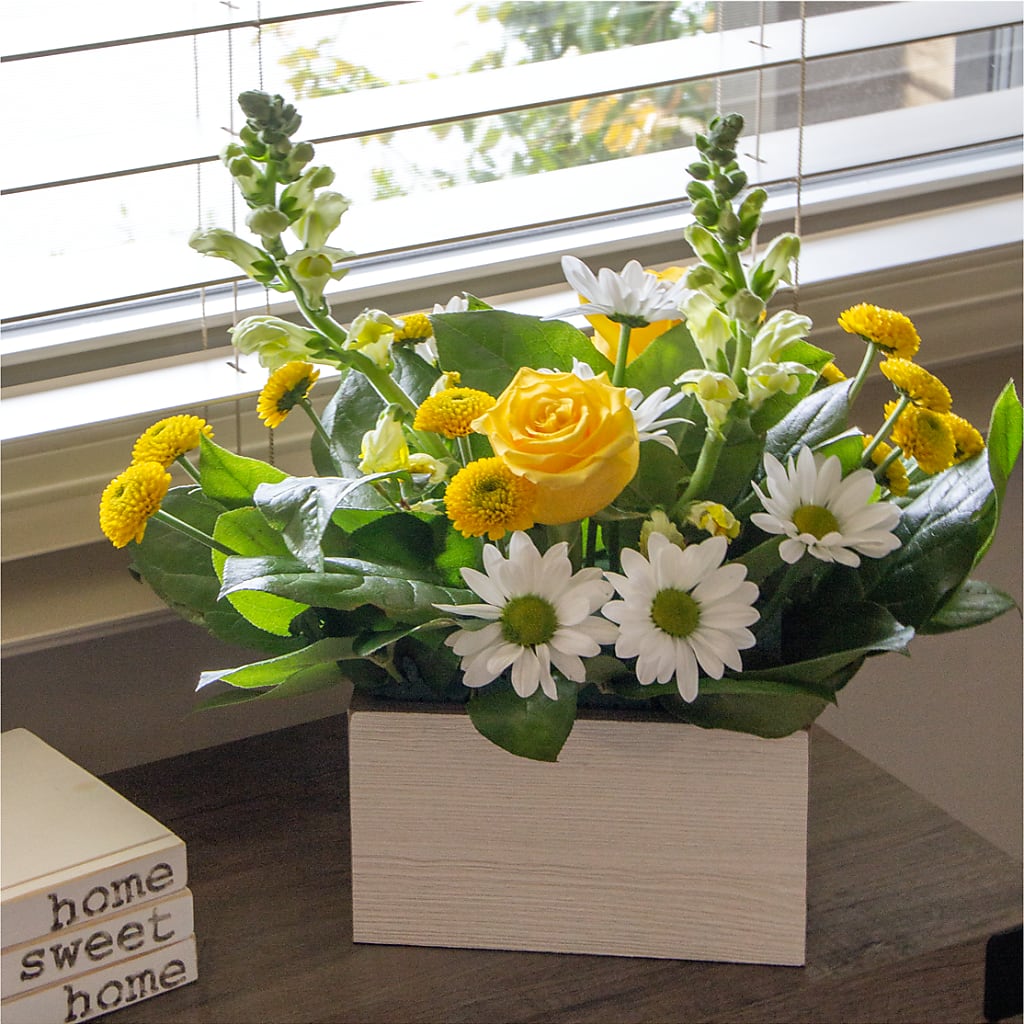 Sun Salutation Box Bouquet – For Get Me Not Florist, Williamston NC
