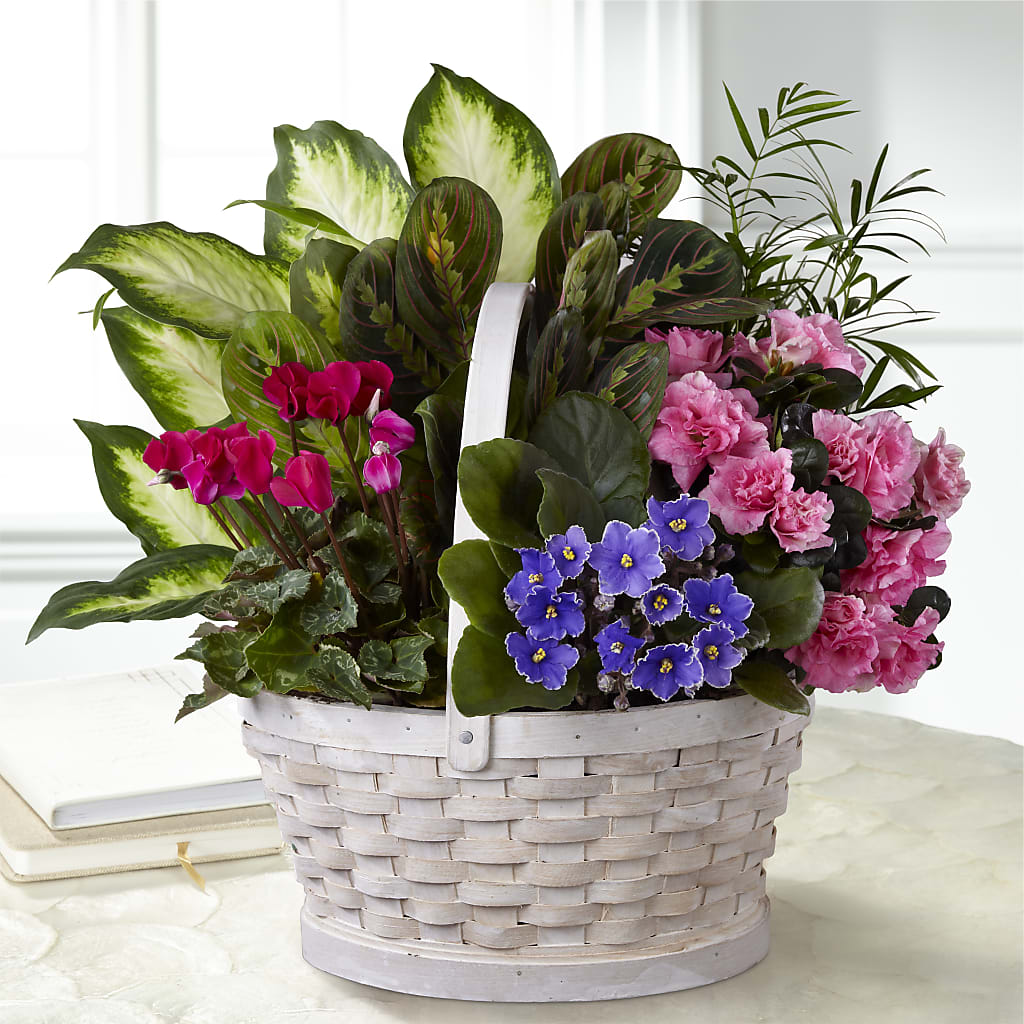 Peaceful Garden Planter – For Get Me Not Florist, Williamston NC