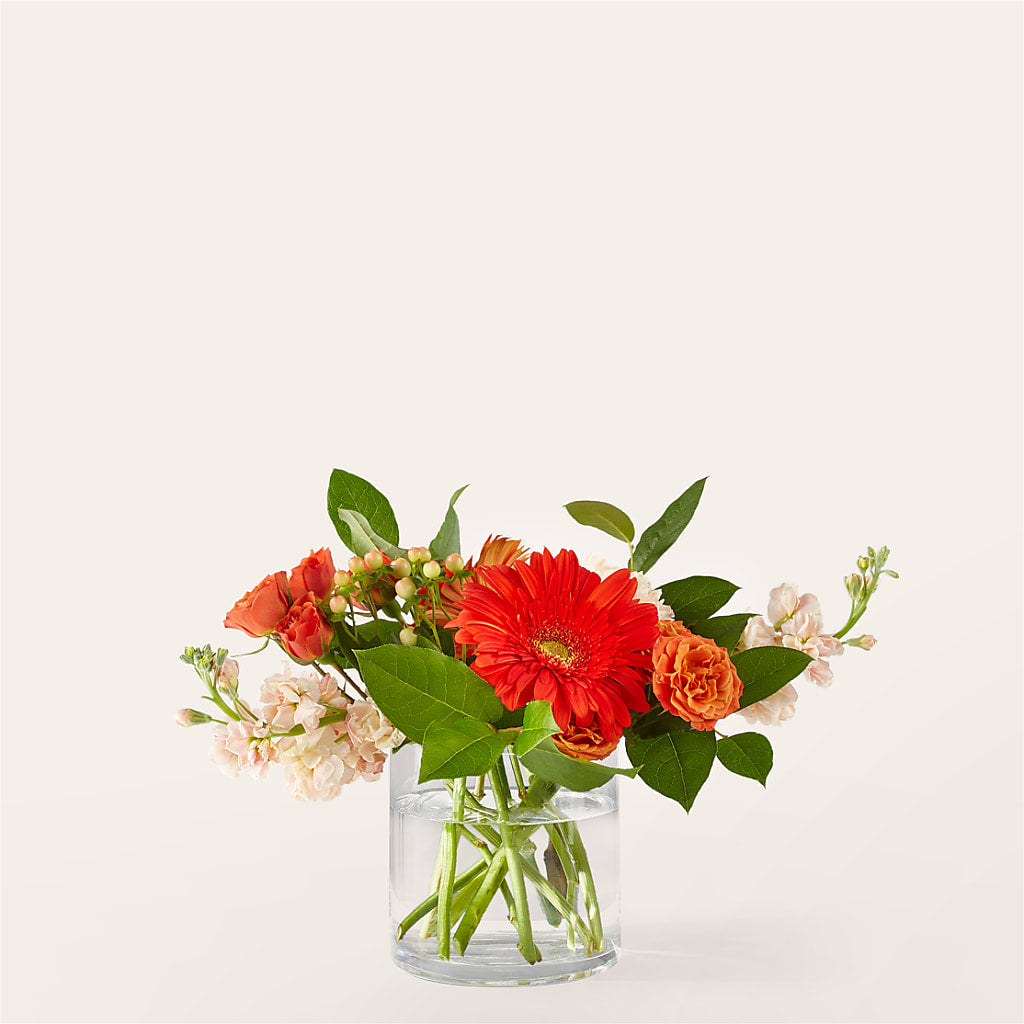 Paloma Please Bouquet – For Get Me Not Florist, Williamston NC