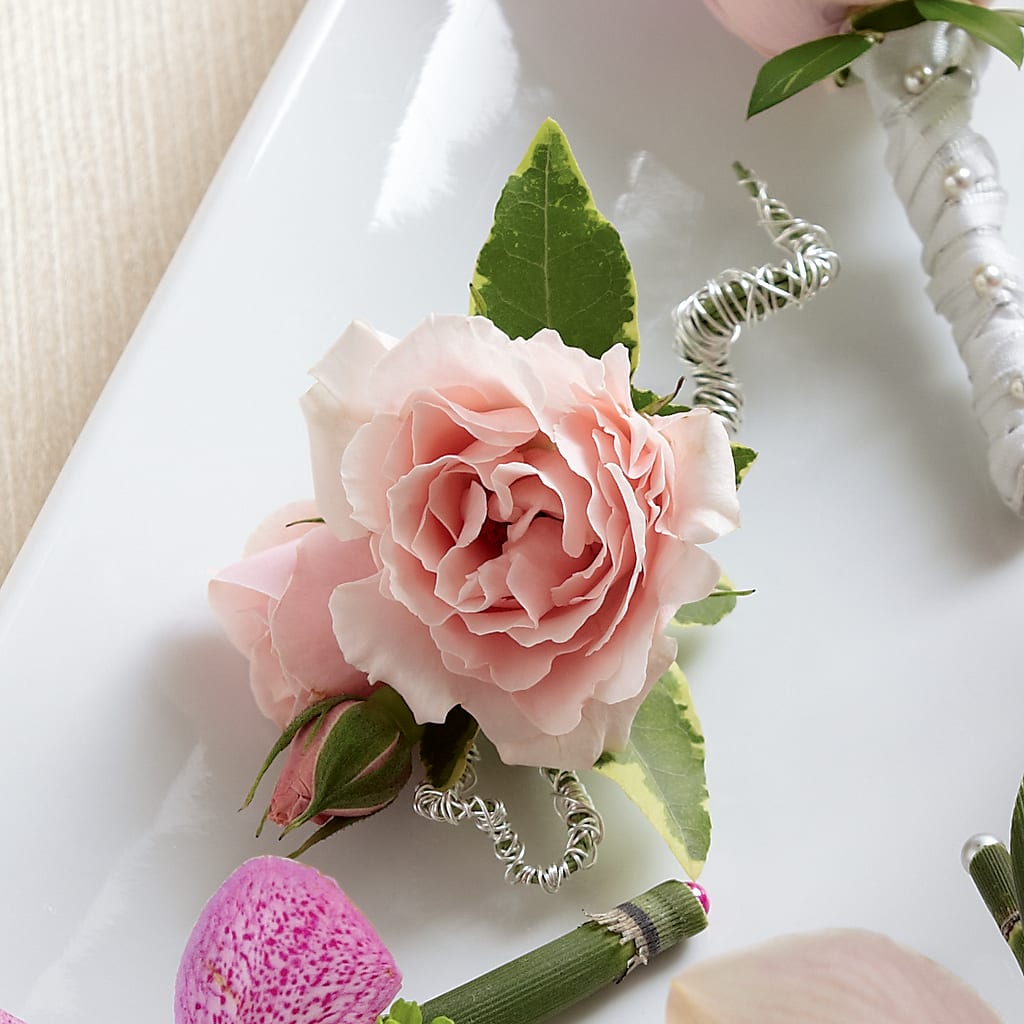 Pink Spray Rose Boutonniere – For Get Me Not Florist, Williamston NC
