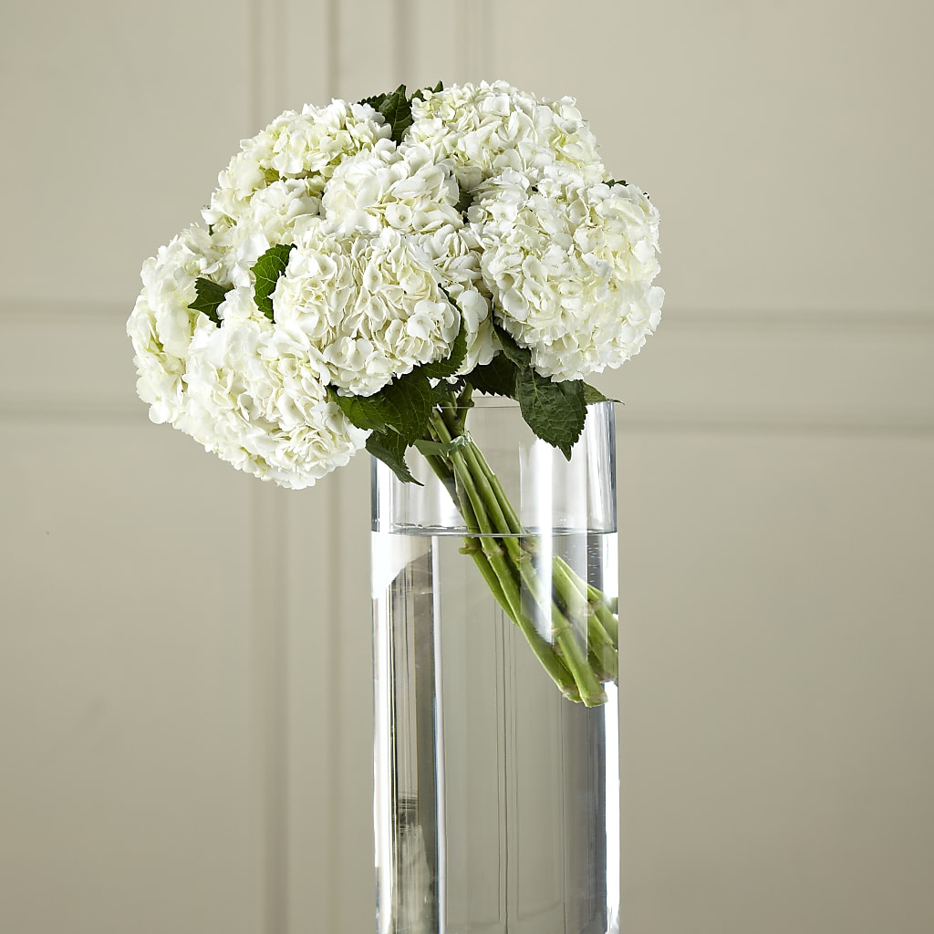 White Hydrangea Hand-Tied Bouquet – For Get Me Not Florist, Williamston NC
