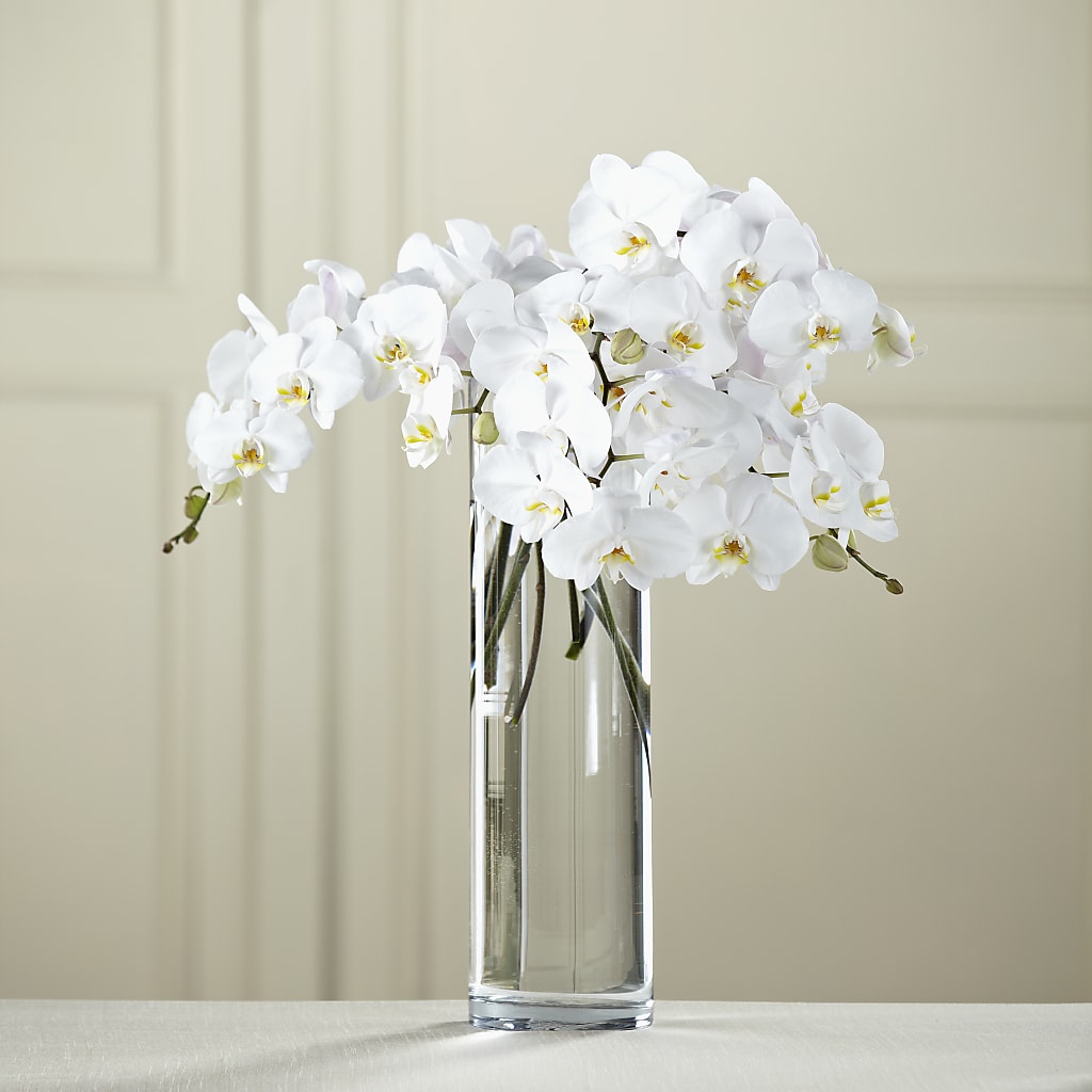 White Phalaenopsis Bouquet – For Get Me Not Florist, Williamston NC