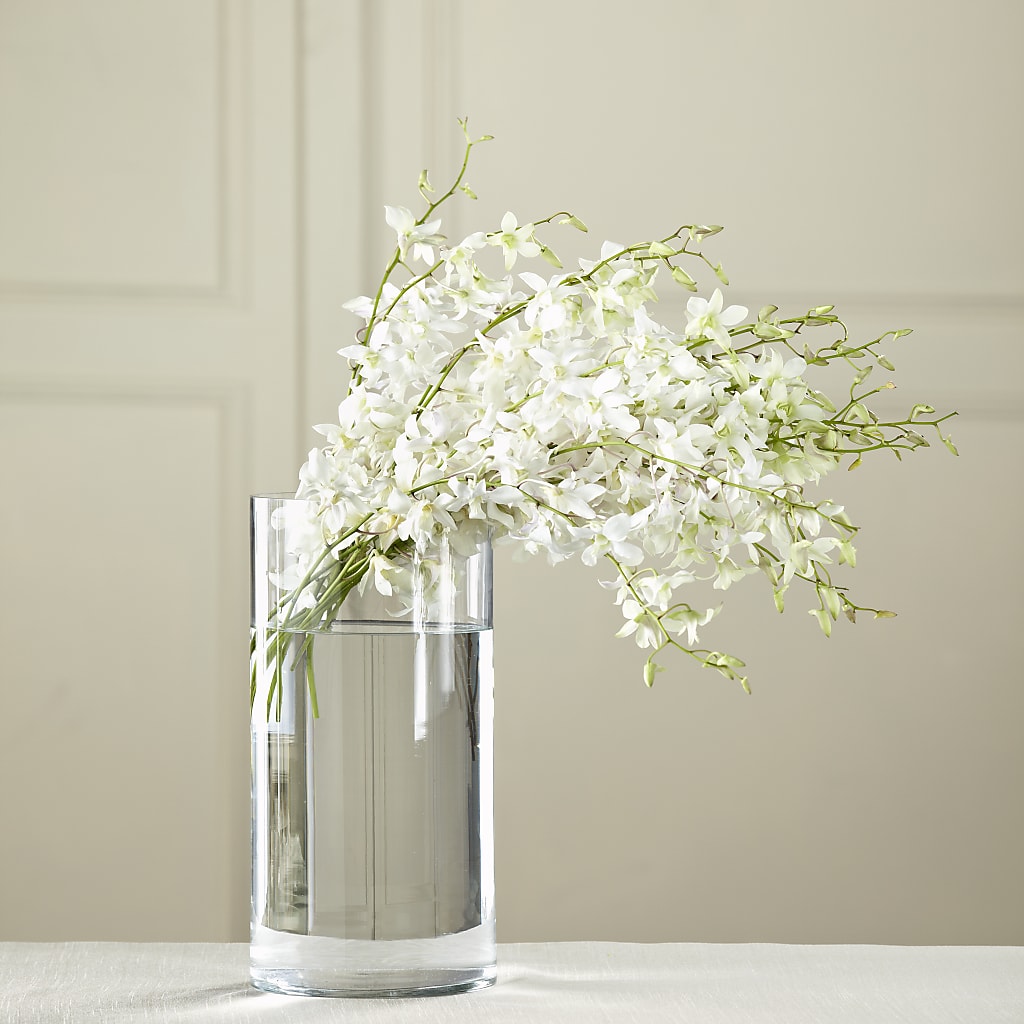 White Dendrobium Bouquet – For Get Me Not Florist, Williamston NC