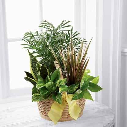 French Garden –  For Get Me Not Florist, Williamston NC