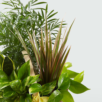 French Garden –  For Get Me Not Florist, Williamston NC