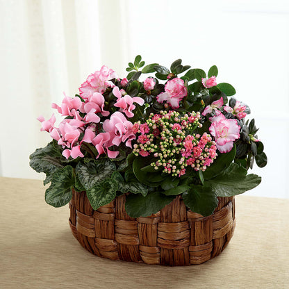 Pink Assortment –  For Get Me Not Florist, Williamston NC