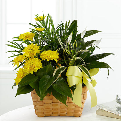 Loving Light Dishgarden –  For Get Me Not Florist, Williamston NC