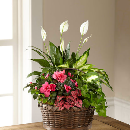 Dream in Pink Dishgarden –  For Get Me Not Florist, Williamston NC