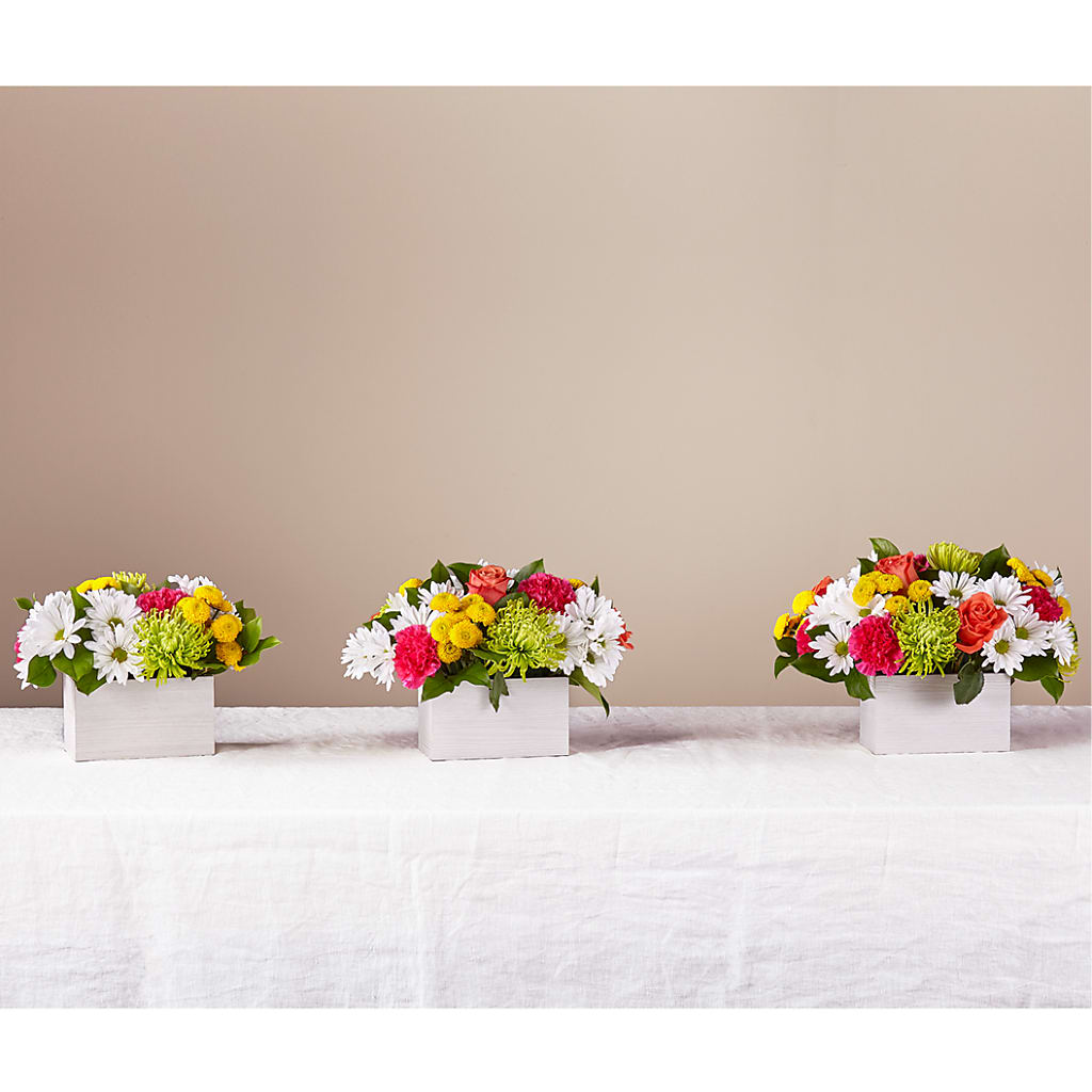 Sorbet Bouquet –  For Get Me Not Florist, Williamston NC