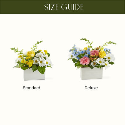 Sun Salutation Box Bouquet –  For Get Me Not Florist, Williamston NC