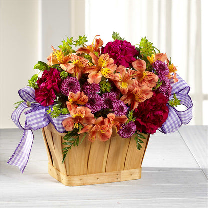 New Dream Basket
