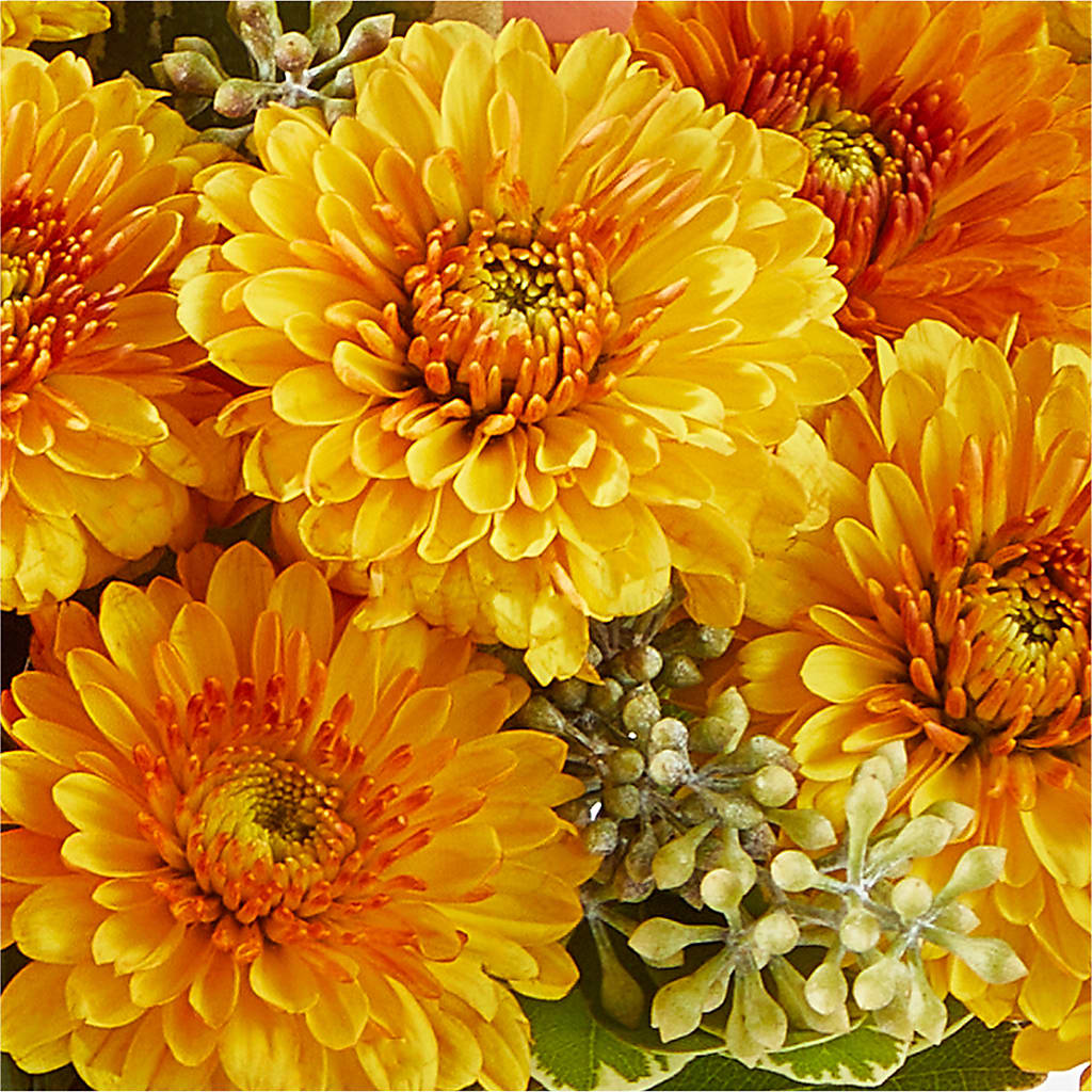 Peachy Pumpkin –  For Get Me Not Florist, Williamston NC