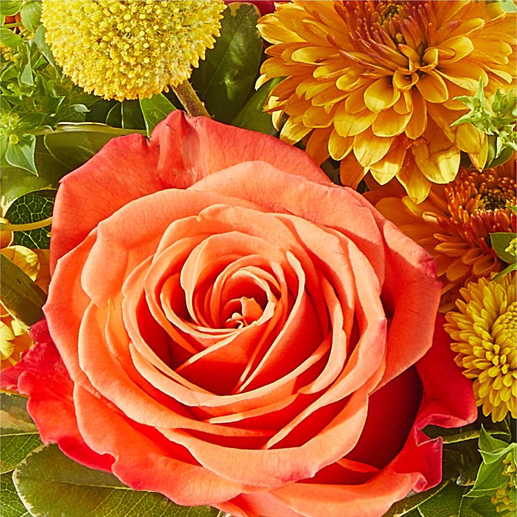 Gourdgeous Pumpkin –  For Get Me Not Florist, Williamston NC