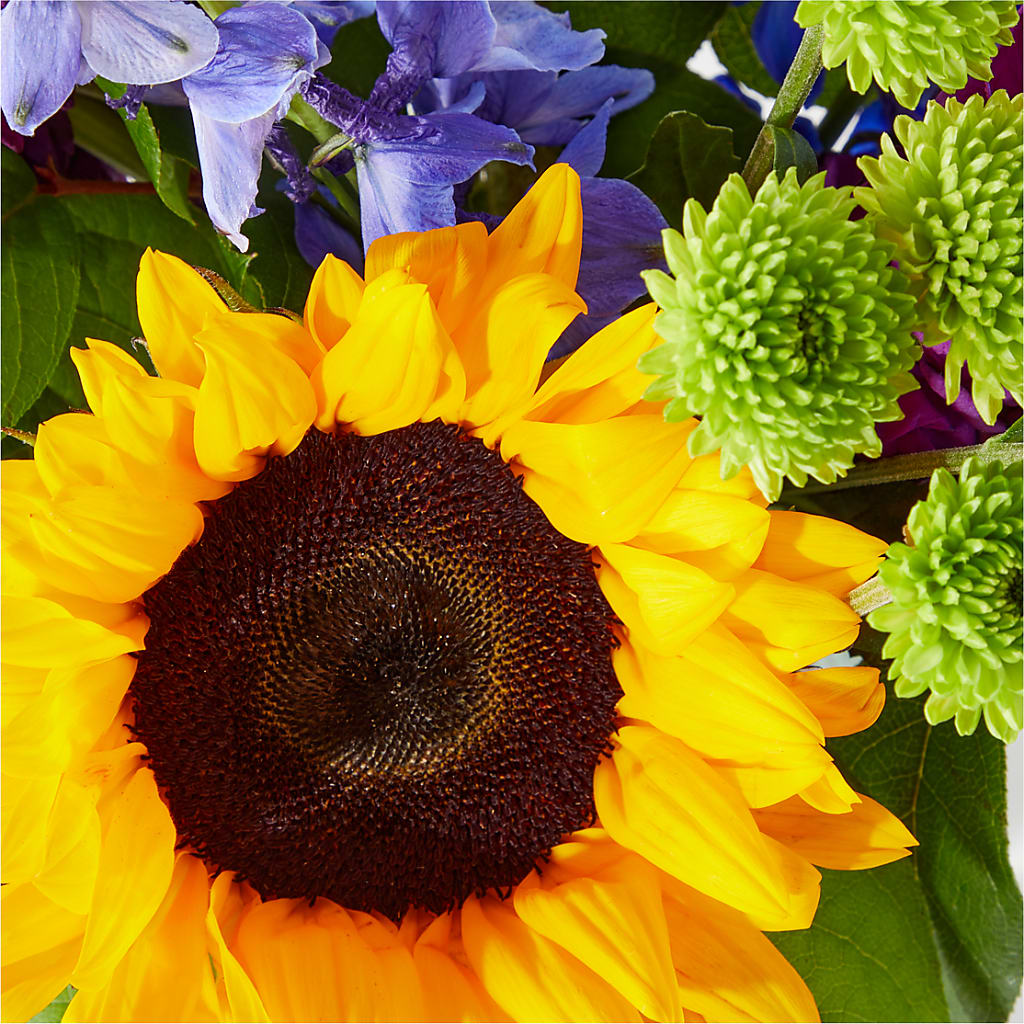 Catching Rays Bouquet –  For Get Me Not Florist, Williamston NC