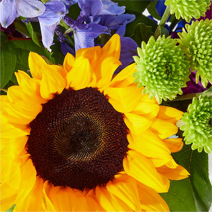 Catching Rays Bouquet –  For Get Me Not Florist, Williamston NC