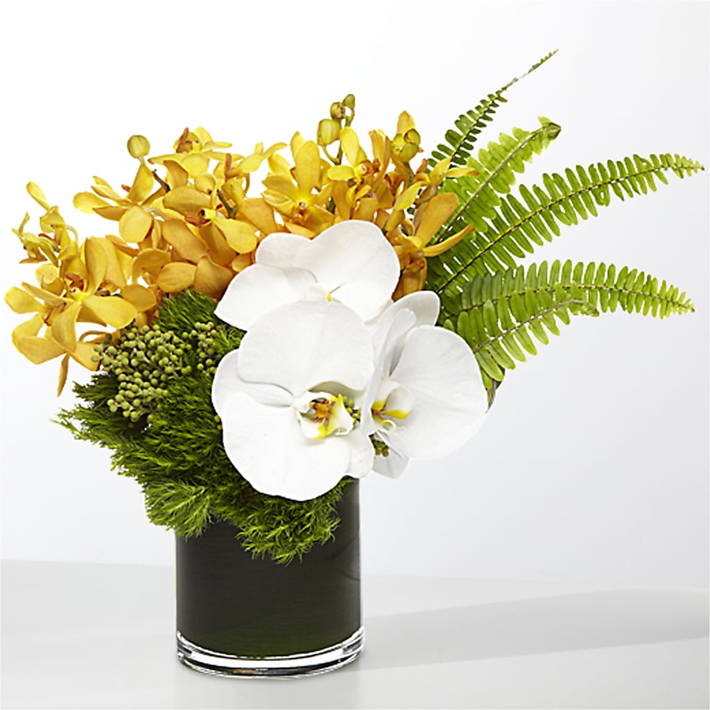 The Tropics –  For Get Me Not Florist, Williamston NC