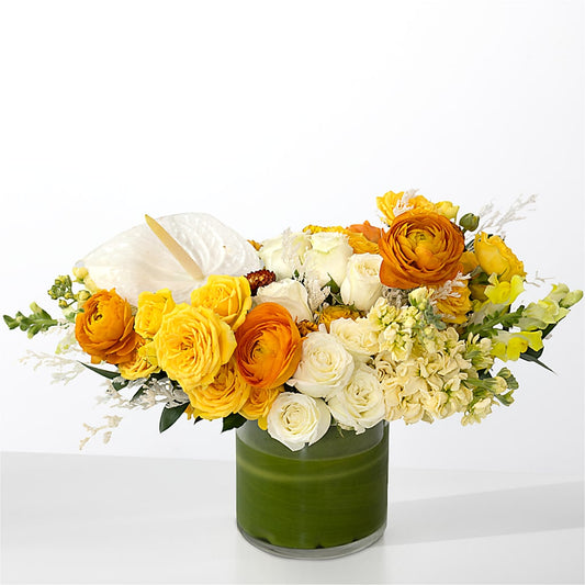 The Optimist –  For Get Me Not Florist, Williamston NC