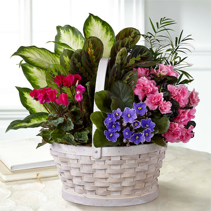 Peaceful Garden Planter –  For Get Me Not Florist, Williamston NC