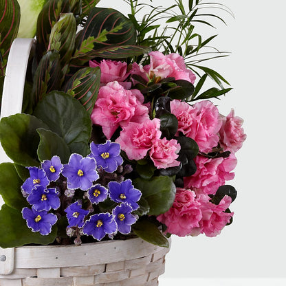 Peaceful Garden Planter –  For Get Me Not Florist, Williamston NC