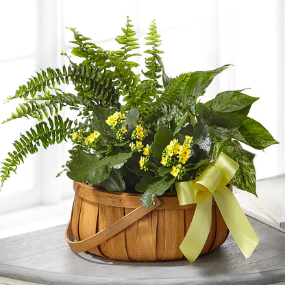 Always Dear Dishgarden –  For Get Me Not Florist, Williamston NC