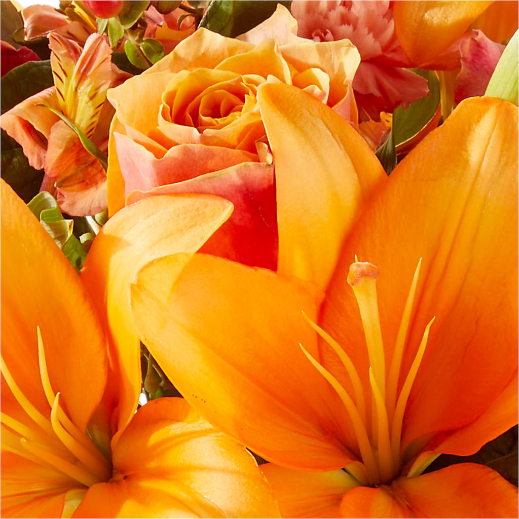 Afternoon Light Bouquet –  For Get Me Not Florist, Williamston NC