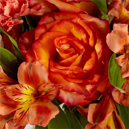 Apricot Glow Bouquet –  For Get Me Not Florist, Williamston NC