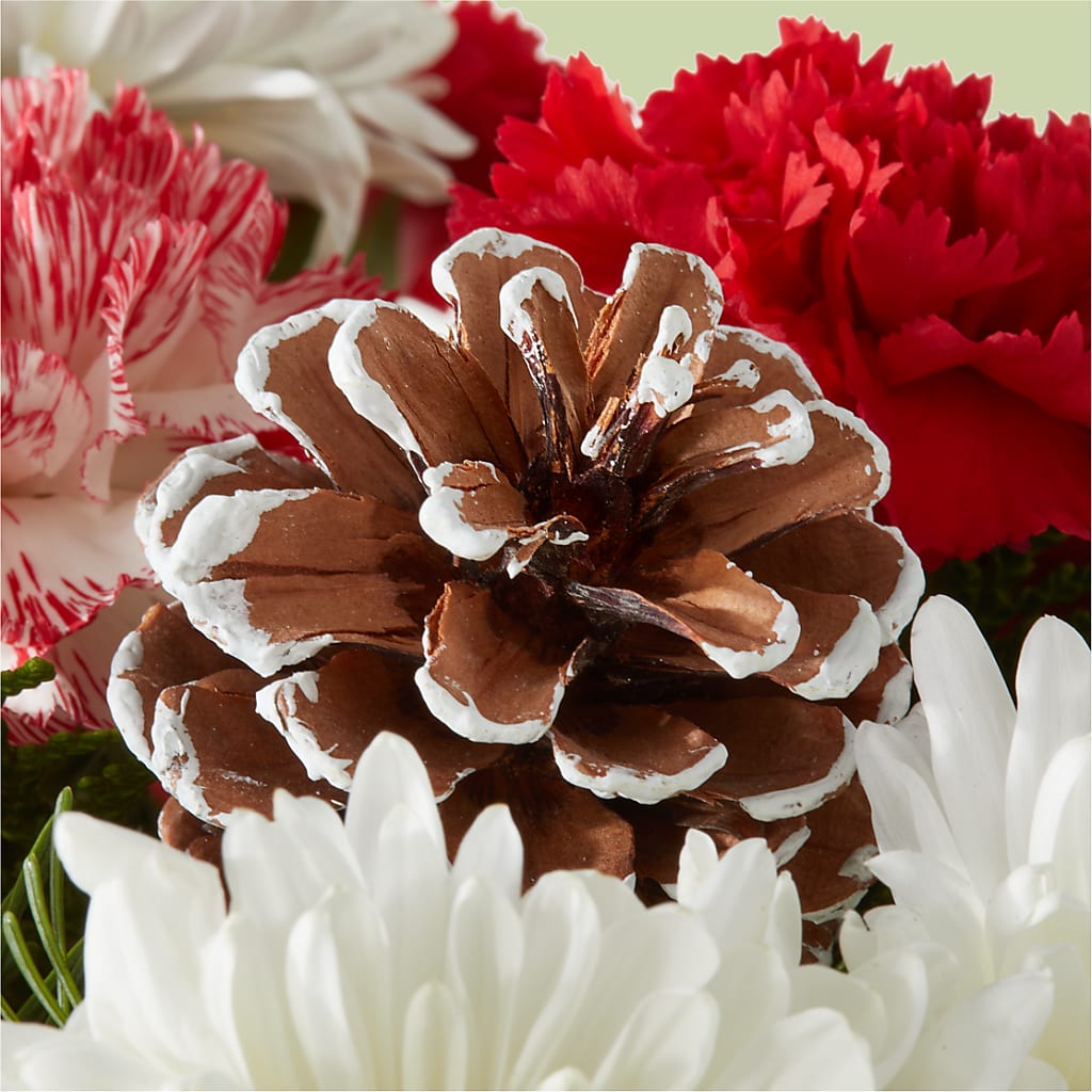 Candy Cane Lane Bouquet –  For Get Me Not Florist, Williamston NC