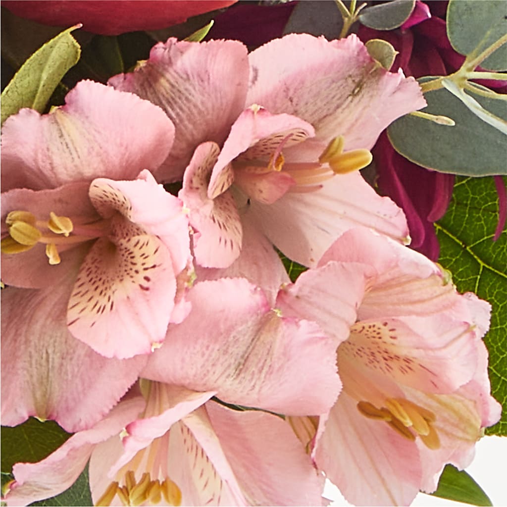 Berry Cobbler Bouquet –  For Get Me Not Florist, Williamston NC