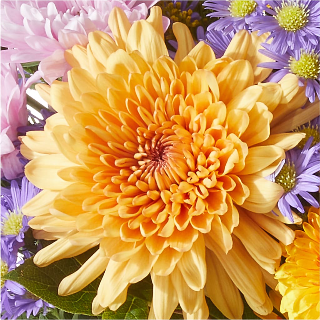 Countryside Bouquet –  For Get Me Not Florist, Williamston NC