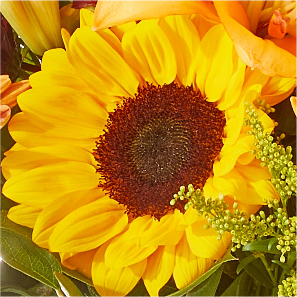Seasons Change Bouquet –  For Get Me Not Florist, Williamston NC