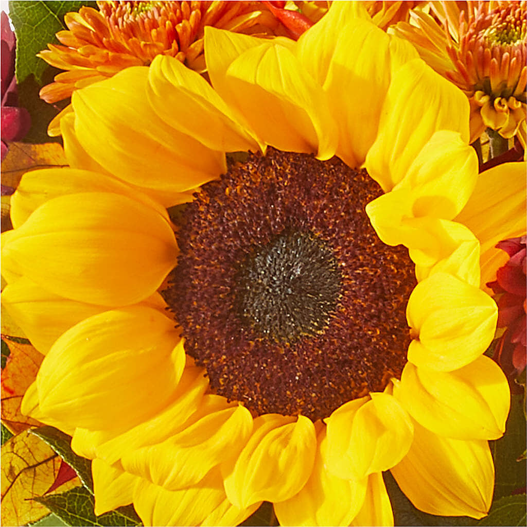 Sunny Side Bouquet –  For Get Me Not Florist, Williamston NC