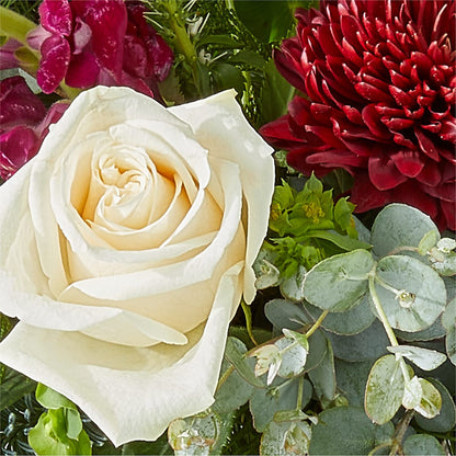 Cranberry Fizz Bouquet –  For Get Me Not Florist, Williamston NC