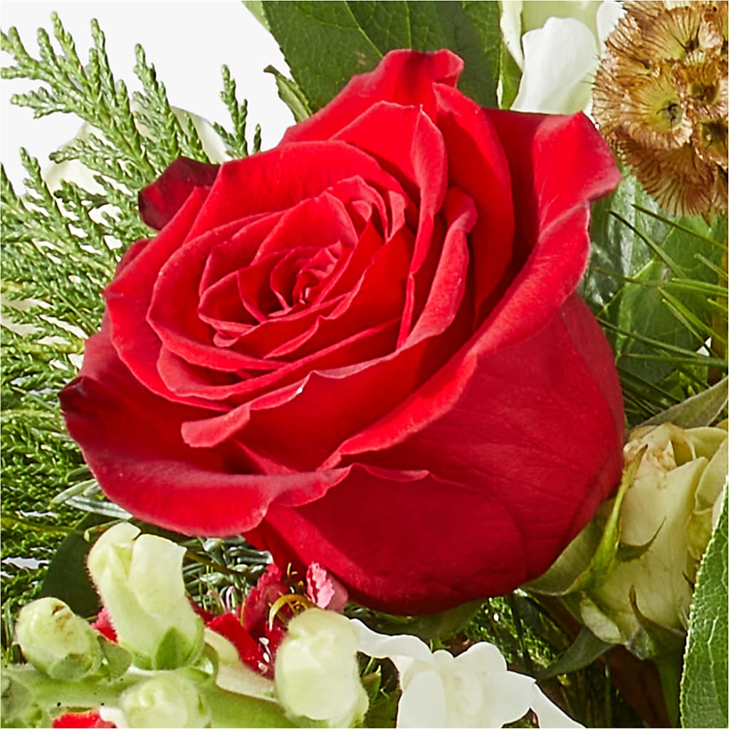 Deck the Halls Bouquet –  For Get Me Not Florist, Williamston NC