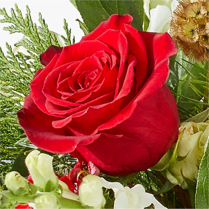 Deck the Halls Bouquet –  For Get Me Not Florist, Williamston NC