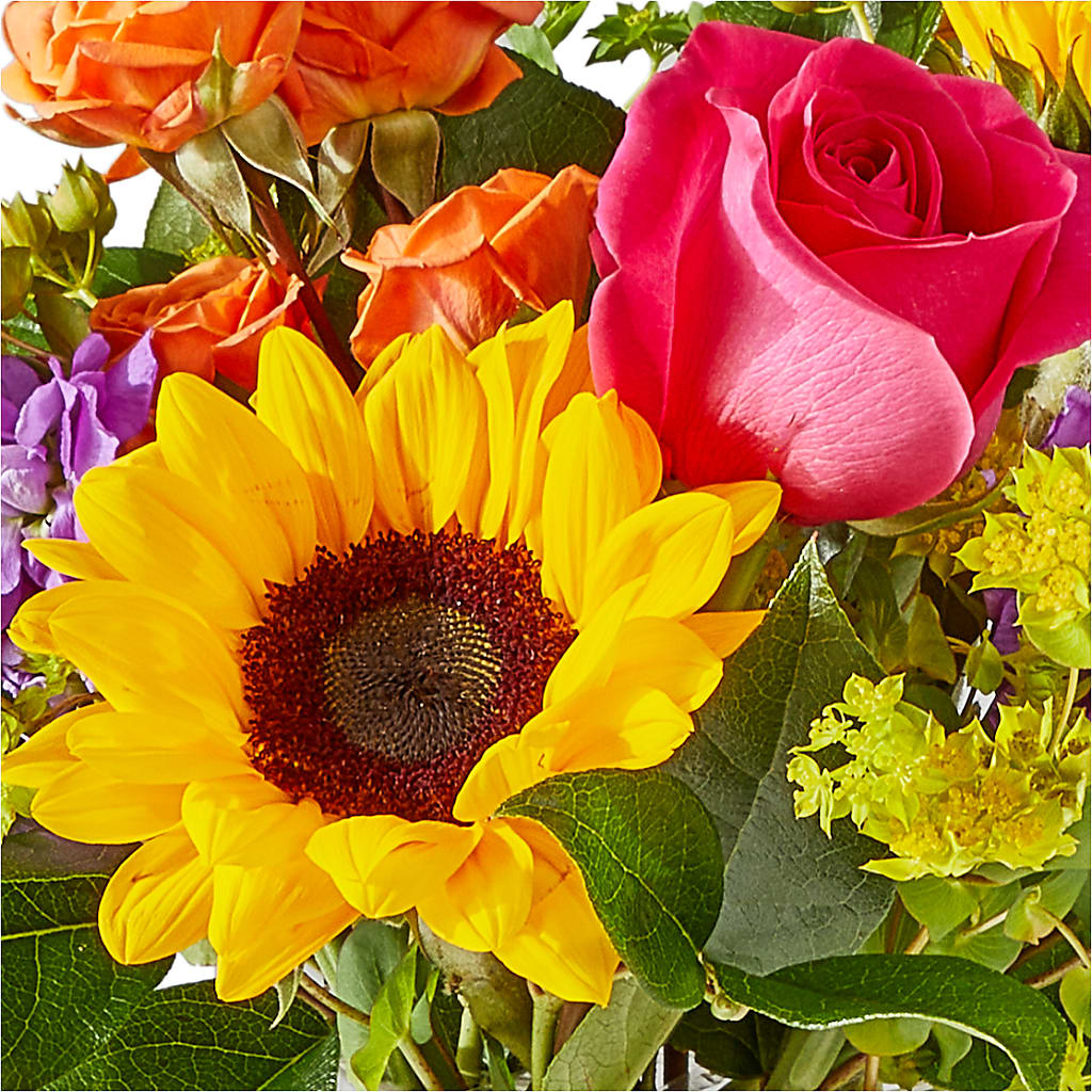 Vibrant Greetings Bouquet –  For Get Me Not Florist, Williamston NC