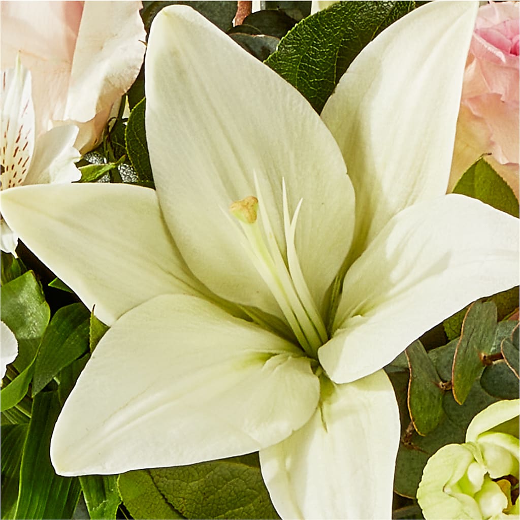 Ballet Slippers Bouquet –  For Get Me Not Florist, Williamston NC