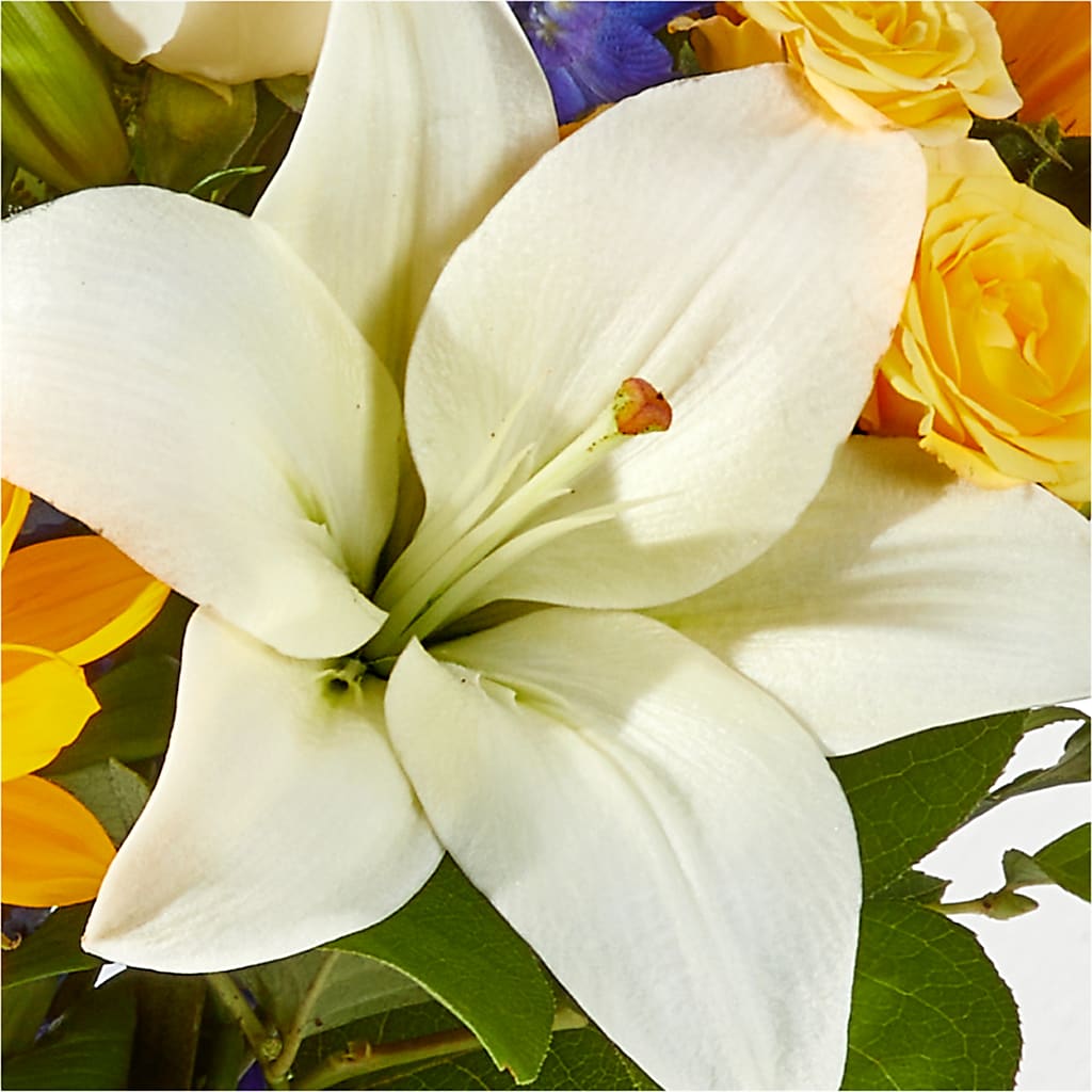 Wonderfully Sunny Bouquet –  For Get Me Not Florist, Williamston NC