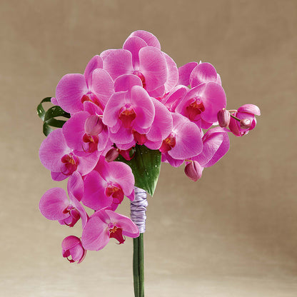 Glorious Bouquet –  For Get Me Not Florist, Williamston NC