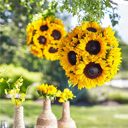 Sublime Garden Hanging Arrangement –  For Get Me Not Florist, Williamston NC