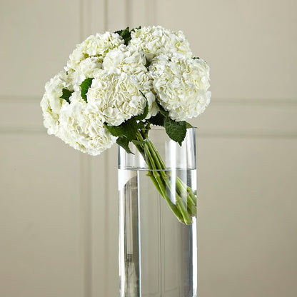 White Hydrangea Hand-Tied Bouquet –  For Get Me Not Florist, Williamston NC