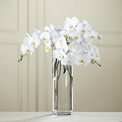 White Phalaenopsis Bouquet –  For Get Me Not Florist, Williamston NC
